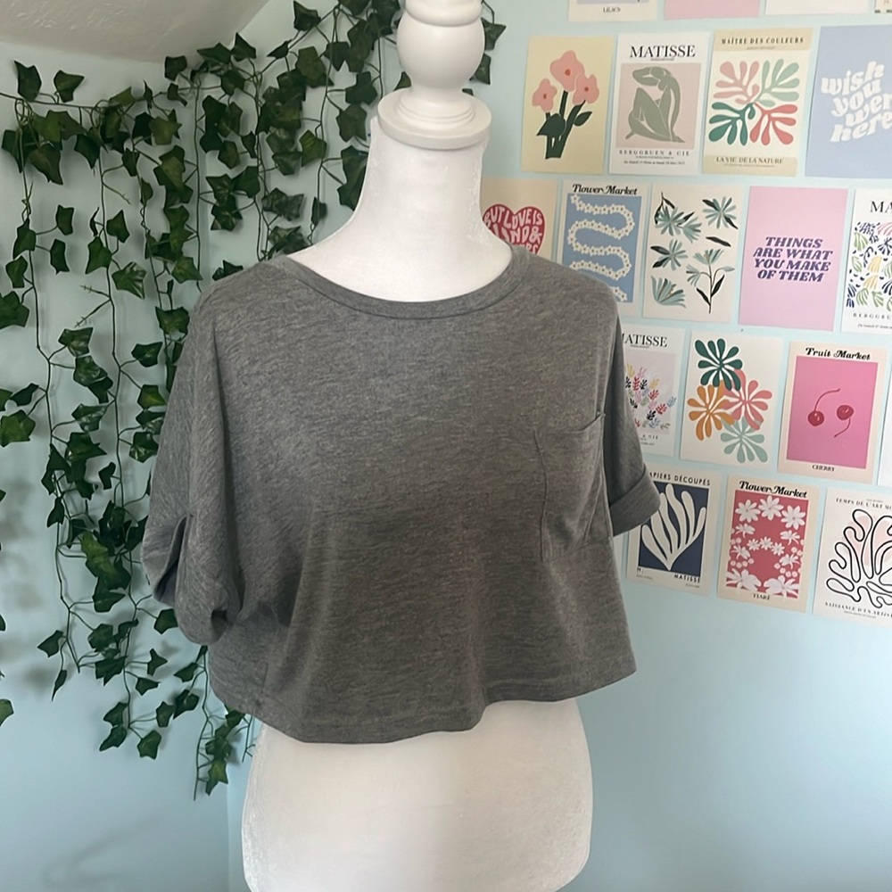 Gray cropped tshirt